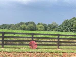 Property grounds - Sunsets and Stars (Arnoldsville)
