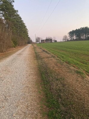 Miscellaneous - Sunsets and Stars (Arnoldsville)