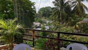 Un balcón con plantas en macetas y sillas de plástico blancas, con vistas a una zona residencial con casas y palmeras.