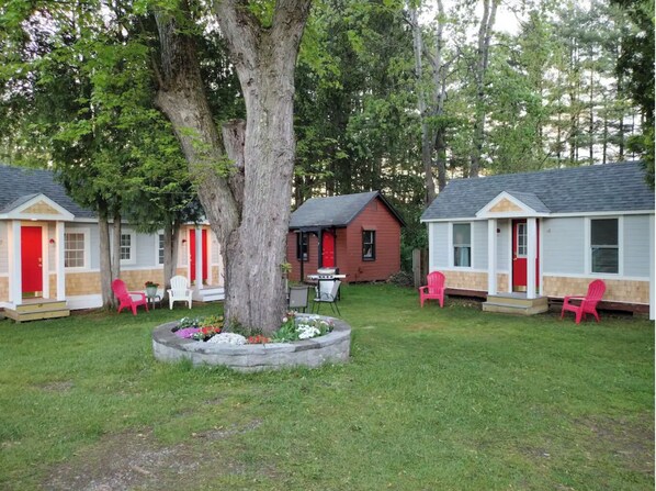Property grounds - Cozy Saratoga Cabin with 1 bedroom and AC (Malta)