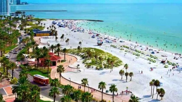 A beach with palm trees, a sandy area, and a road with a bus.