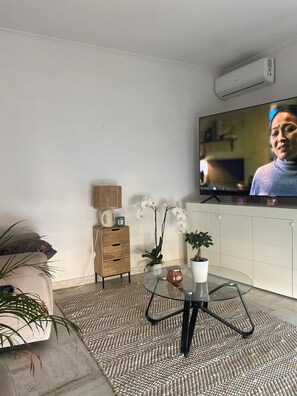 Smart TV - 3-bedroom apartment (Antibes)