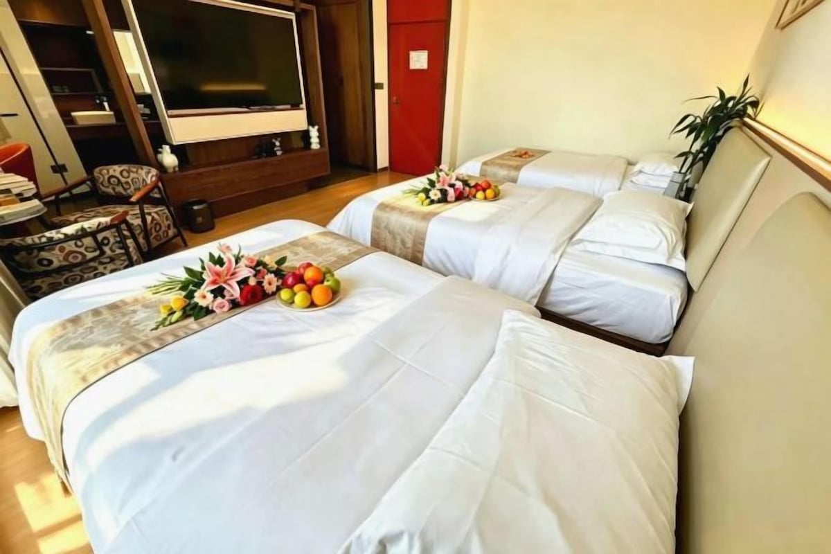 Une chambre d’hôtel avec deux lits, une télévision et une plante.