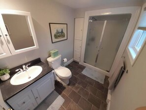 Shower, hair dryer, towels