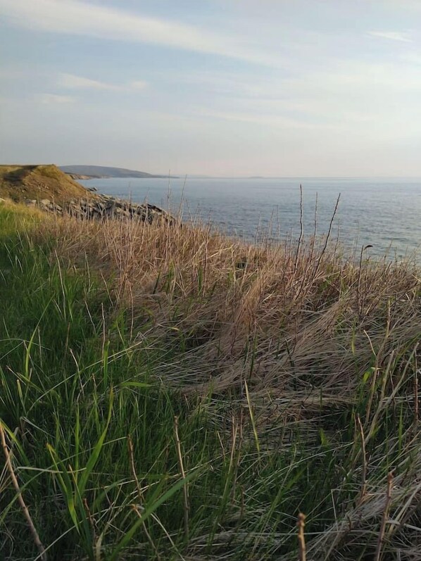 Paisaje costero con dunas cubiertas de hierba y vista al mar.