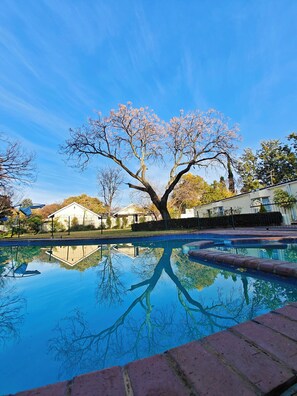 Outdoor pool - Luxury House into Nature in Sandton, peaceful place with full of greens (Sandton)