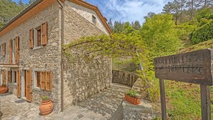 A stone building with wooden shutters, a sign indicating 'Agriturismo Montagna', and potted plants. - Villa in Cortona with 3 bedrooms sleeps 6 (Cortona)