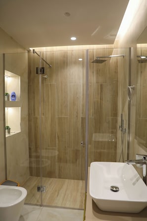 Shower, hair dryer, bidet, towels