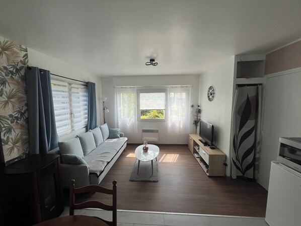 Fernseher, Kamin, Bücher