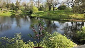 A serene lakeside view with a grassy area and trees.