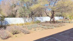 Un estacionamiento con un muro blanco y varias plantas, entre ellas arbustos y árboles con flores.