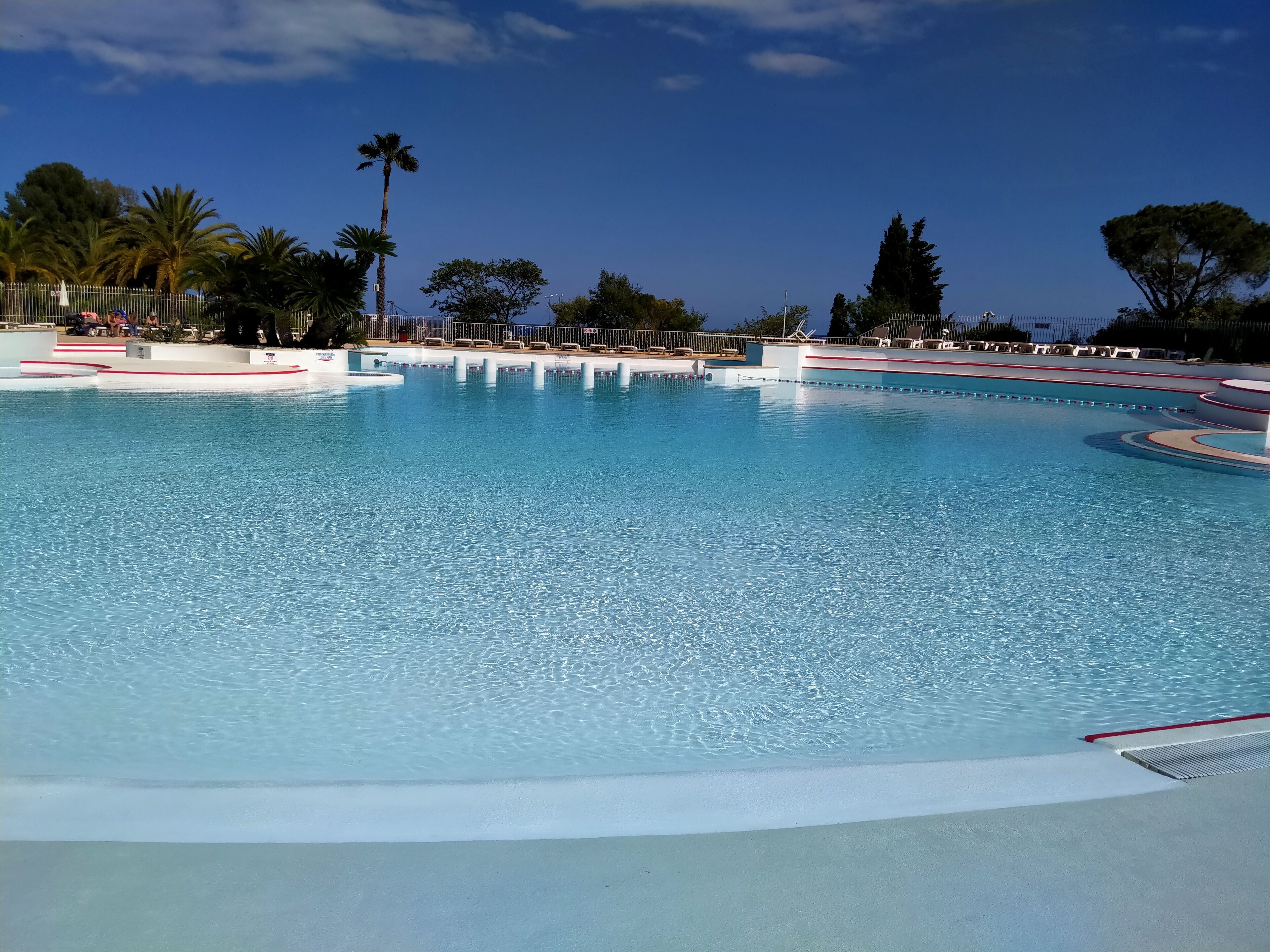 A large, clear swimming pool with a red and white pool deck, surrounded by palm trees and a fence.