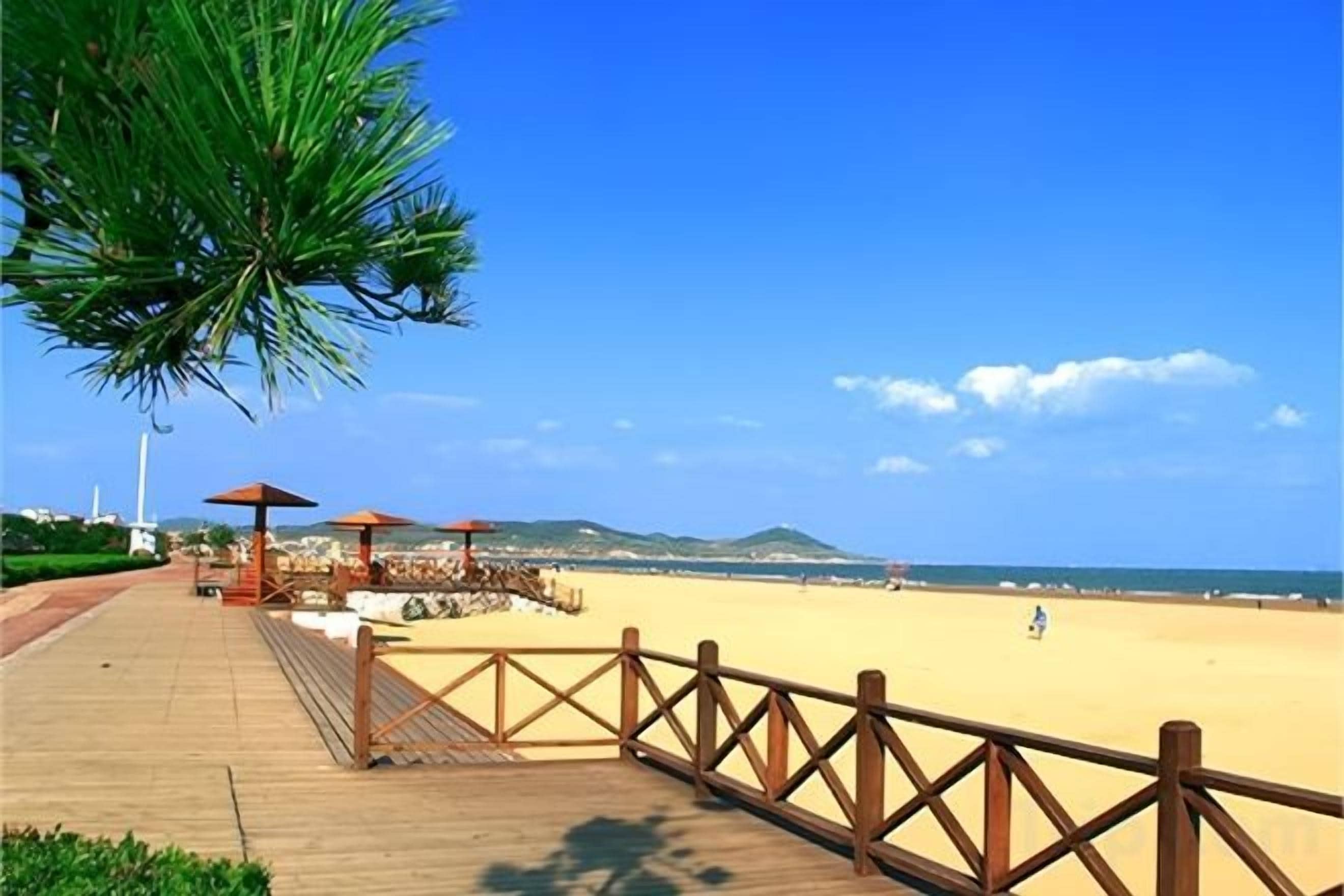 Un paseo marítimo de madera que conduce a una playa con sombrillas y una palmera.