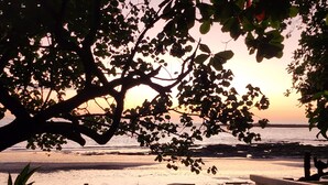 Una spiaggia con barche e un albero sullo sfondo.