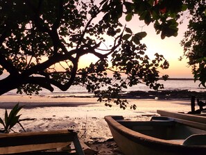 A beach scene with boats and a tree in the foreground.