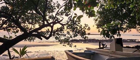 A beach with boats and a tree providing shade.