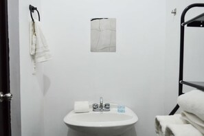 Shower, hair dryer - Ramon Corral 504-A, Col. Hidalgo (Monterrey)
