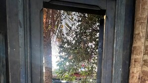 Blick durch einen Türrahmen in einen Innenhof mit Tisch und Stühlen, umgeben von Grünflächen und einem Gebäude mit farbenfroher Fassade.