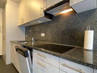 Premium 3 Bedroom Apartment in Central Basel