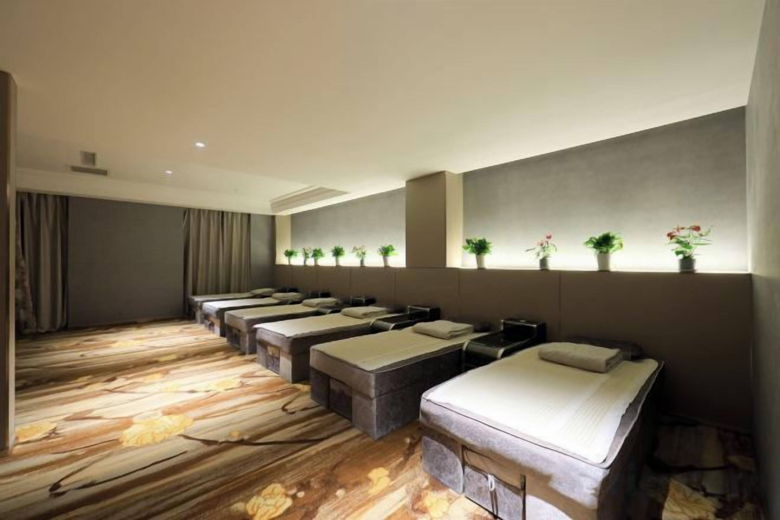 A hotel room with multiple beds arranged in a row, a large window, and a wall-mounted shelf with plants.