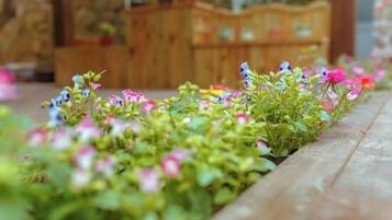 Jardines del alojamiento