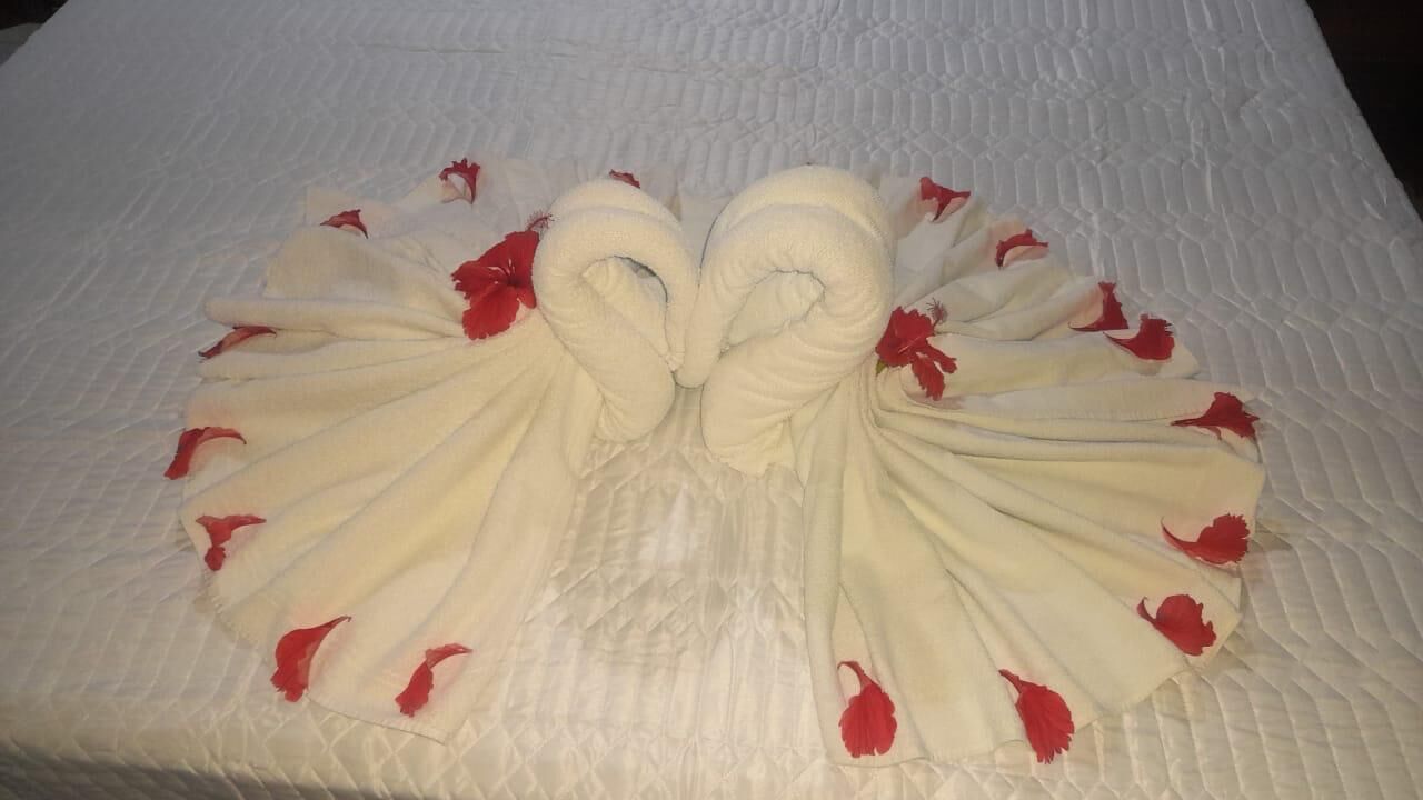 Een bed met een witte quilt en handdoeken in het midden.
