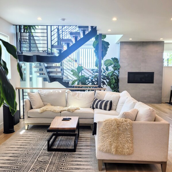 Smart TV, fireplace, books, music library