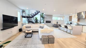 Smart TV, fireplace, books, music library