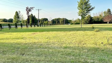 Taman