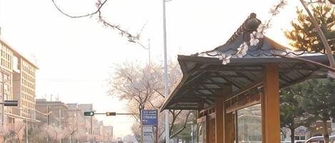 A bus stop with a shelter, a road with vehicles, and buildings in the background.