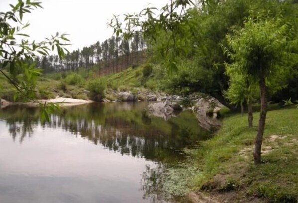 Une rivière paisible, bordée de verdure et d’arbres.