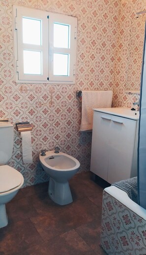 Assecador de cabells, bidet, tovalloles i sabó 