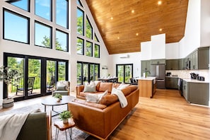 Älytelevisio, takka