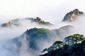 Un paisaje montañoso con picos cubiertos de niebla y un bosque denso.