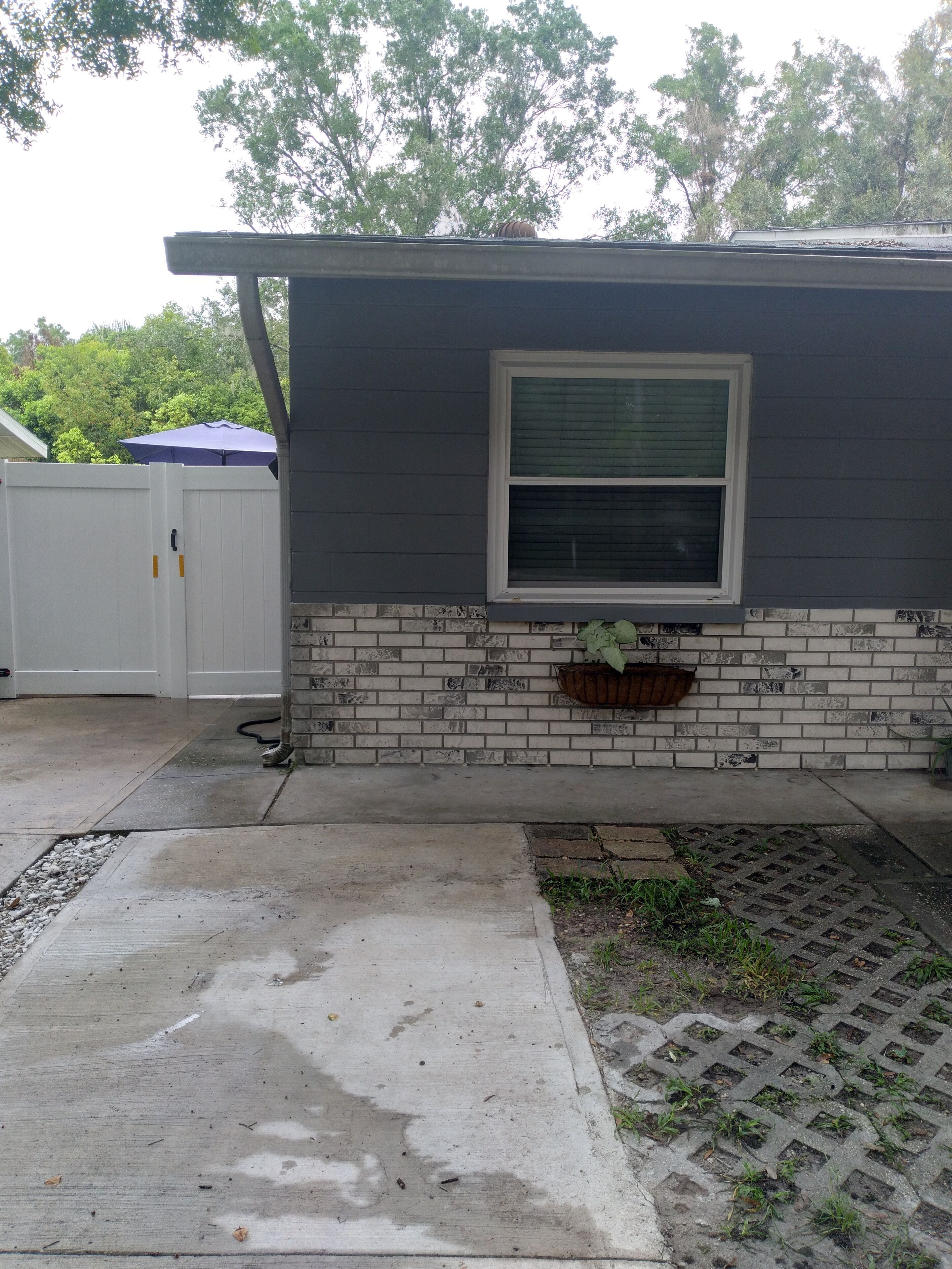 Cozy studio with WiFi and AC and  in lovely Lutz! its family and pet friendly.