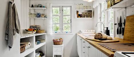 Fridge, oven, stovetop