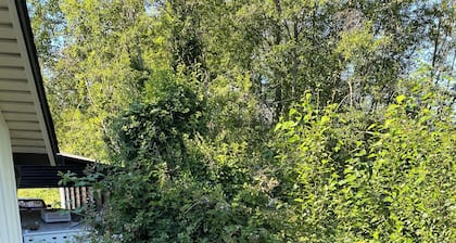 Charming 3-bedroom house in Puyallup with WiFi, AC