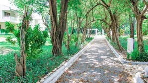 A pathway lined with trees and greenery, leading to a building with a white facade. - Riviera del Mar (Puerto Plata)