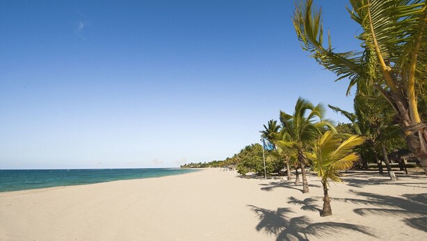 A beach with a clear sky, calm sea, and palm trees. - Riviera del Mar (Puerto Plata)