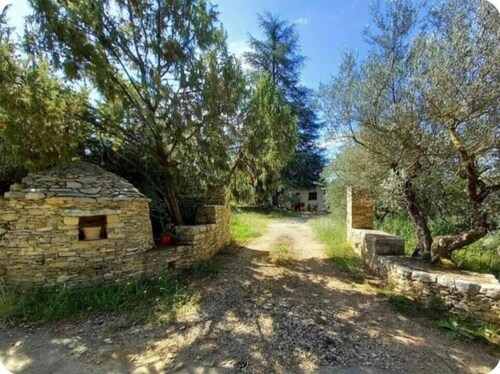 L'oliveraie - CORRENS