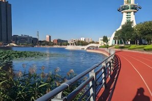 Utsikt fra overnattingsstedet