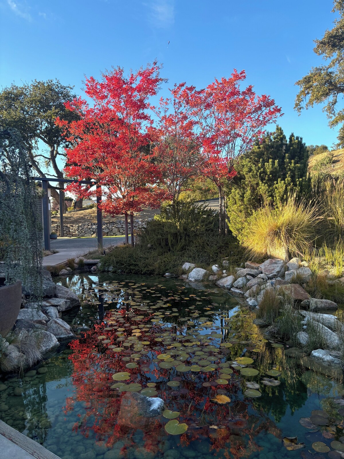 Photo 62 of Dramatic Mountain-top Architectural Gem in Carmel Valley