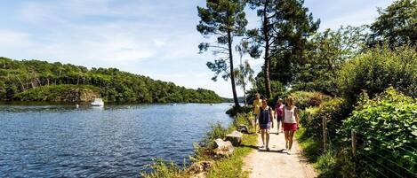 Un sentier longeant un lac, avec un bateau sur l’eau, le tout entouré de verdure et d’arbres.