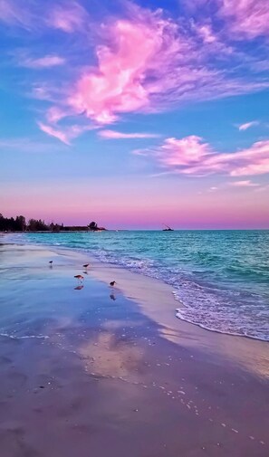 Sun loungers, beach towels