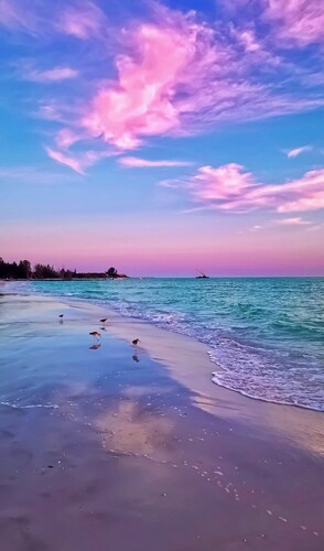 Your Beach Base: 3 miles to Anna Maria, Beaches, IMG+Firepit+15 min to LECOM