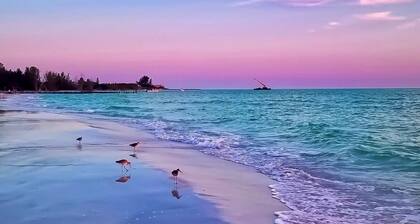 Your Beach Base: 3 miles to Anna Maria, Beaches, IMG+Firepit+15 min to LECOM