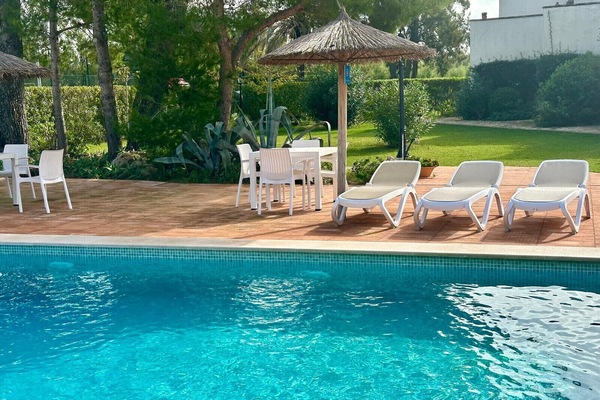 Pool area with sun loungers, outdoor table and garden surrounded by pine trees.