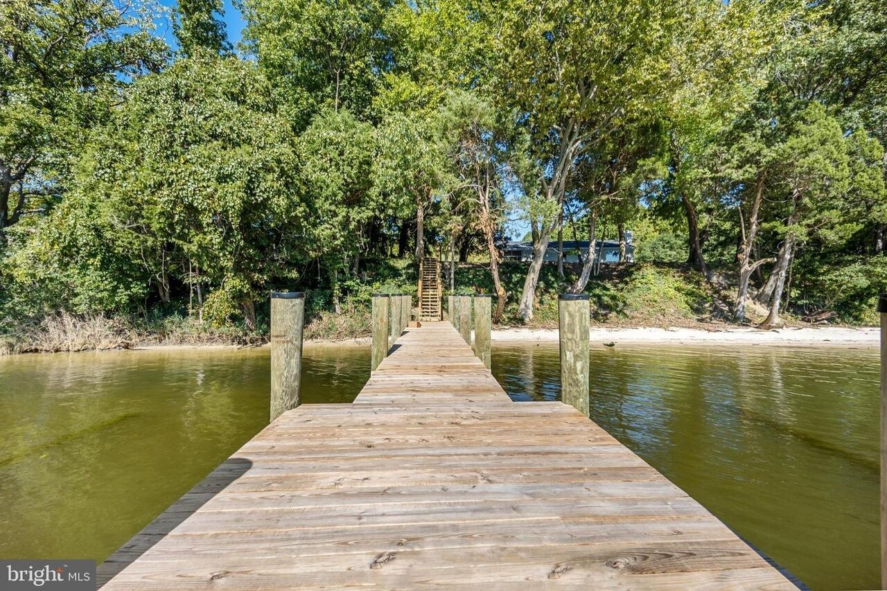 A wooden pier extending into a body of water, surrounded by dense trees.