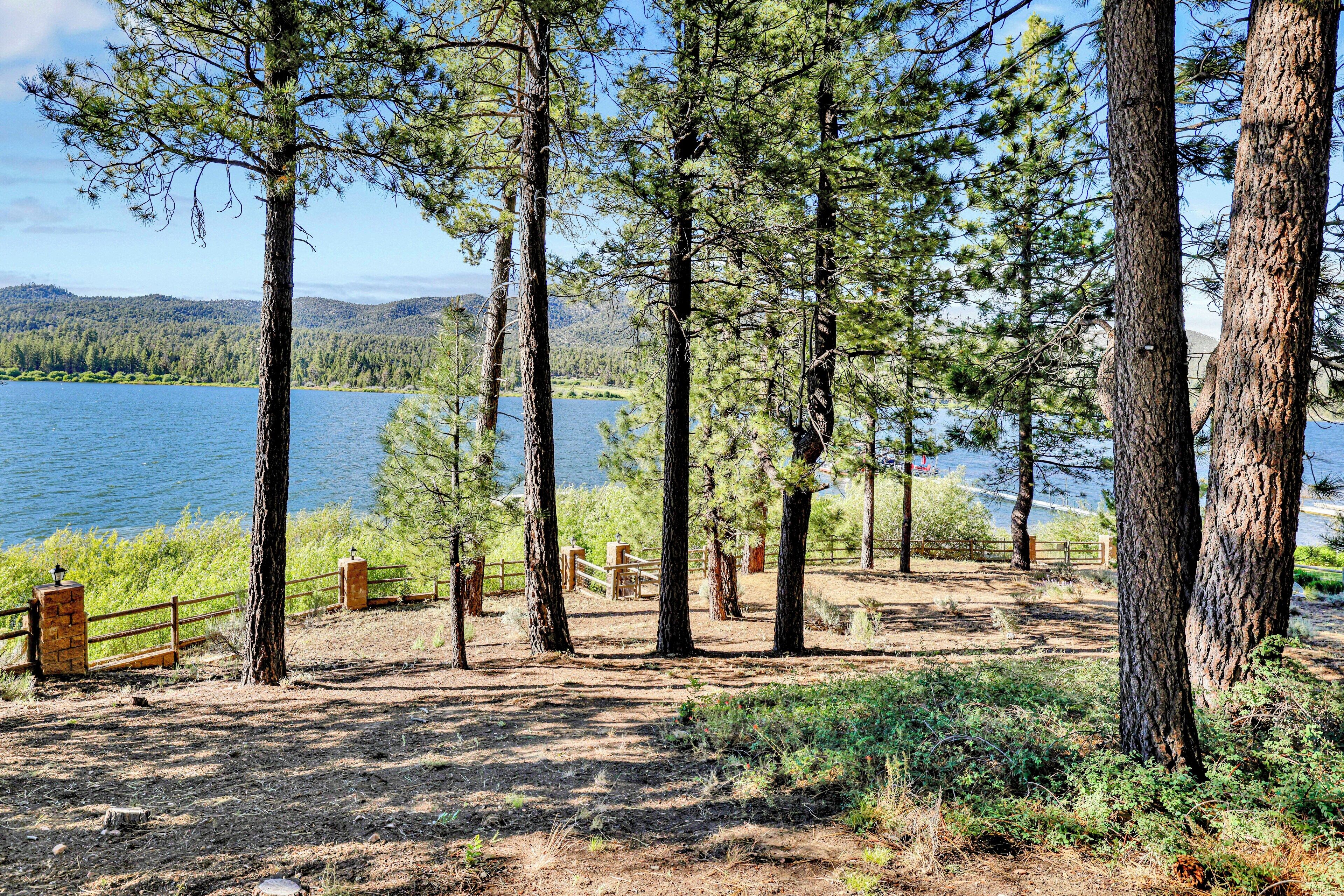 A forested area with tall trees and a lake in the background.
