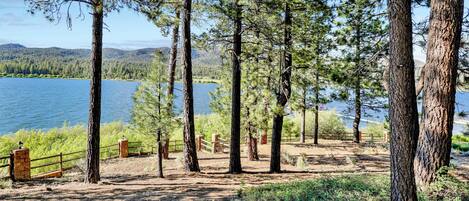 A forested area with tall trees and a lake in the background.
